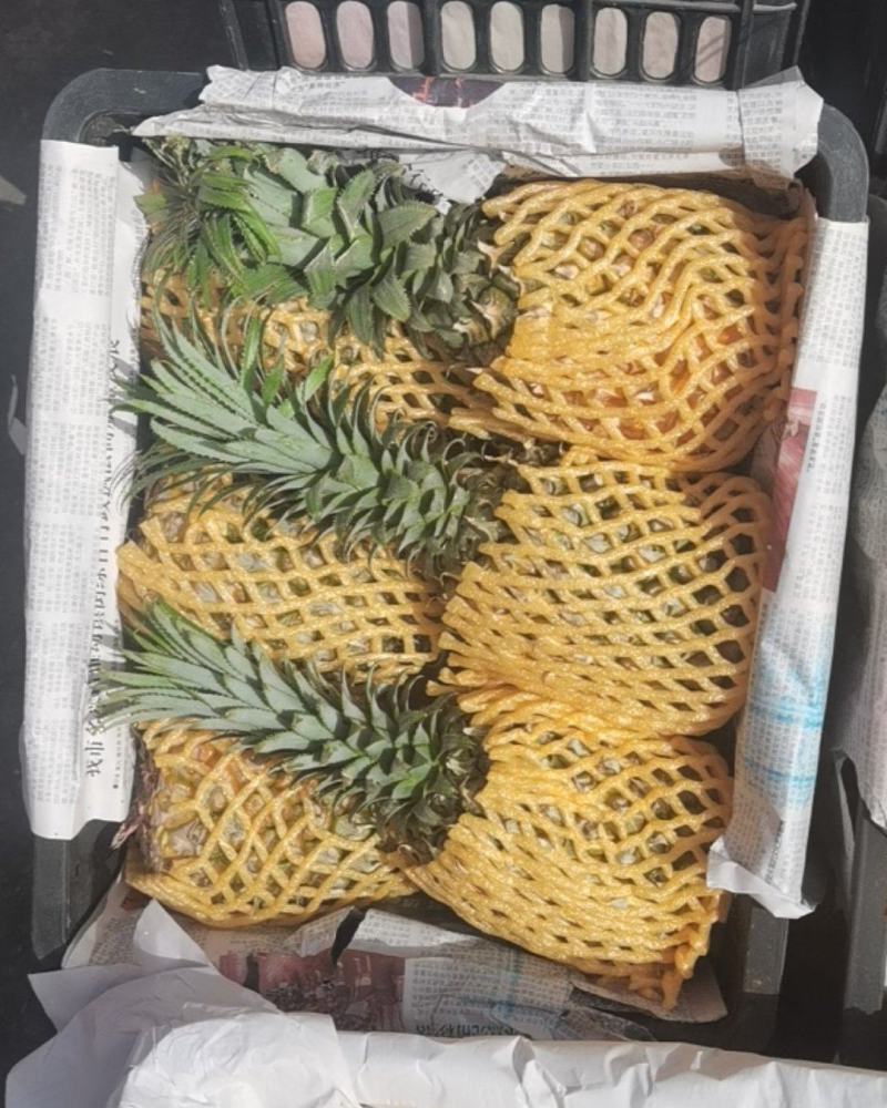 按框卖，一筐12个菠萝