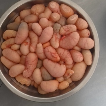 鸡腰