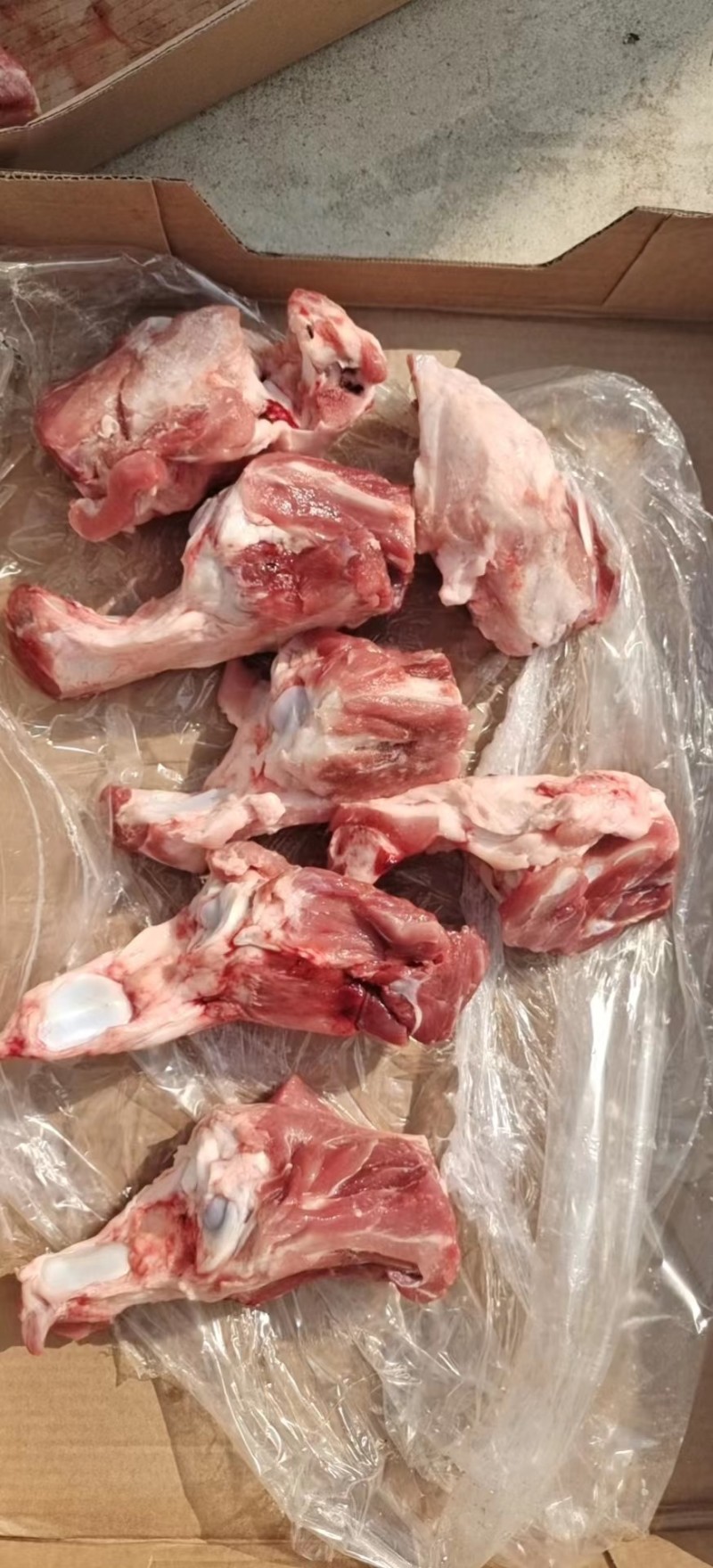 160后肘骨