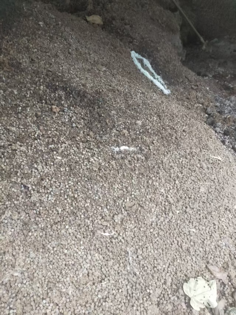 兔粪