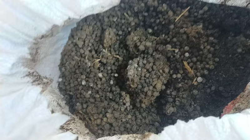兔粪