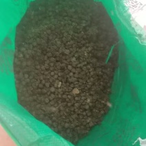 兔粪