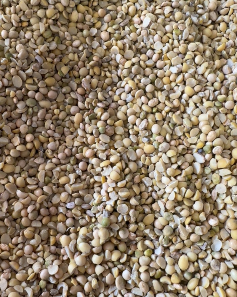 山东碎大豆厂家