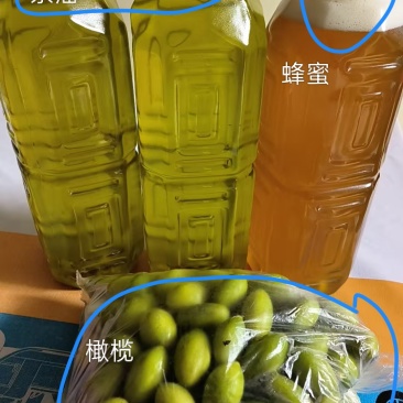 橄榄