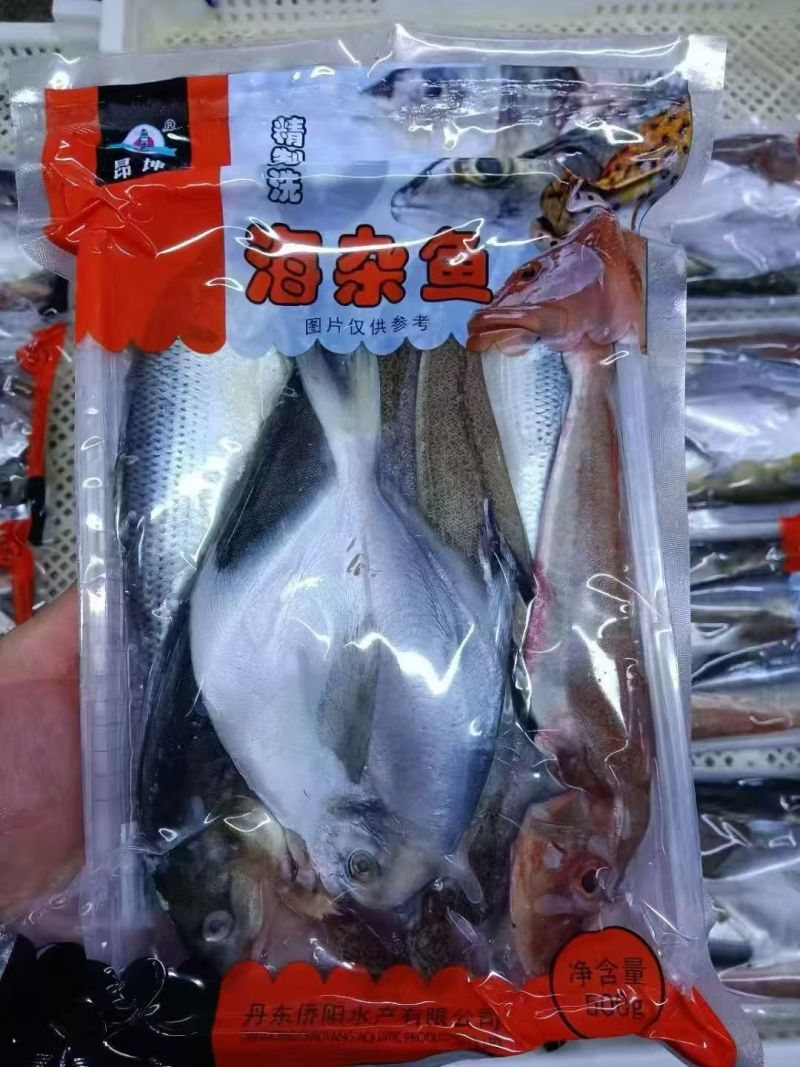海杂鱼