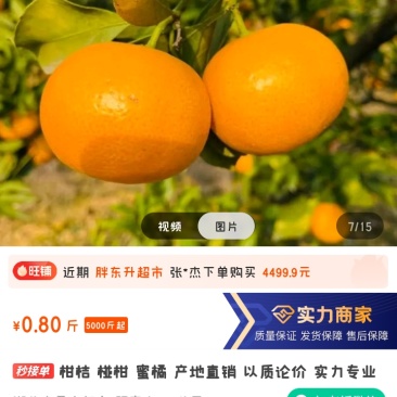 测试