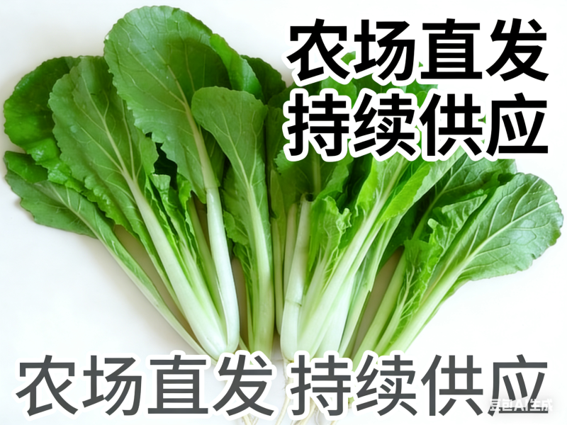 河北石家庄种植场直供。量大供应。