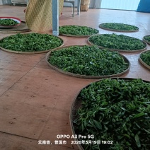 普洱茶（高杆）