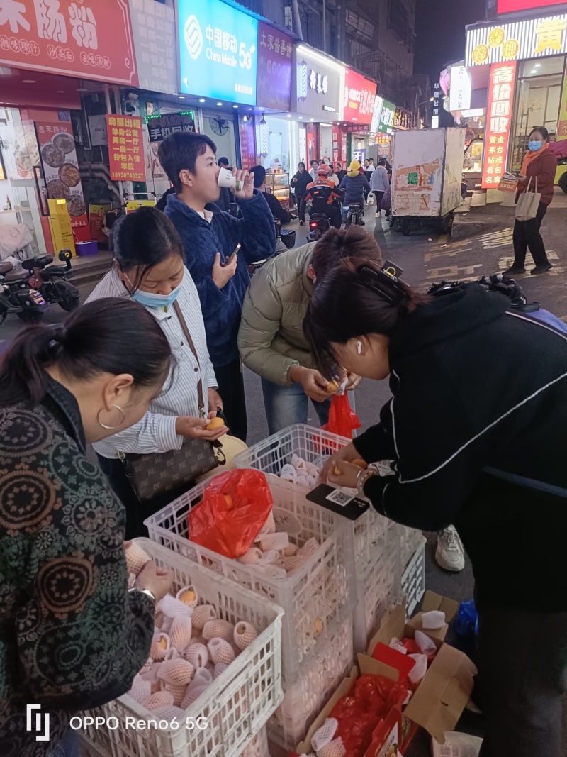 漳州云霄枇杷