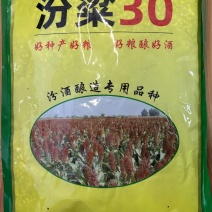 汾粱30高粱籽种