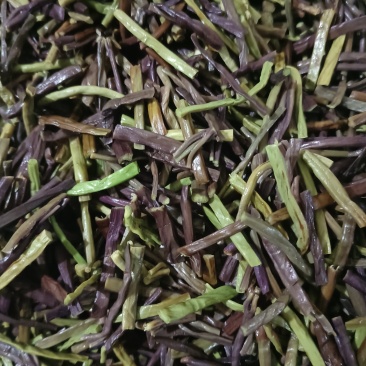 新鲜蕨菜