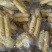 西双版纳拇指小玉B货