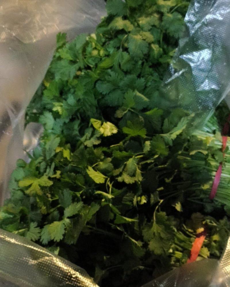 香菜
