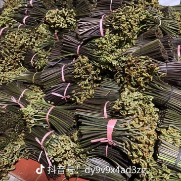 六盘水野生蕨菜
