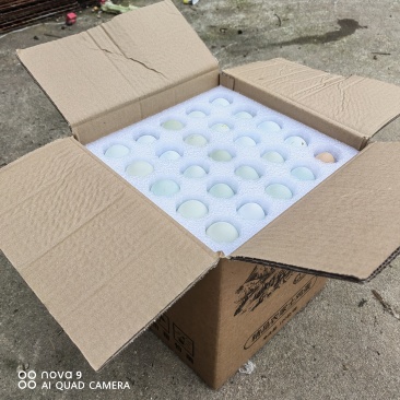 散养土鸡蛋