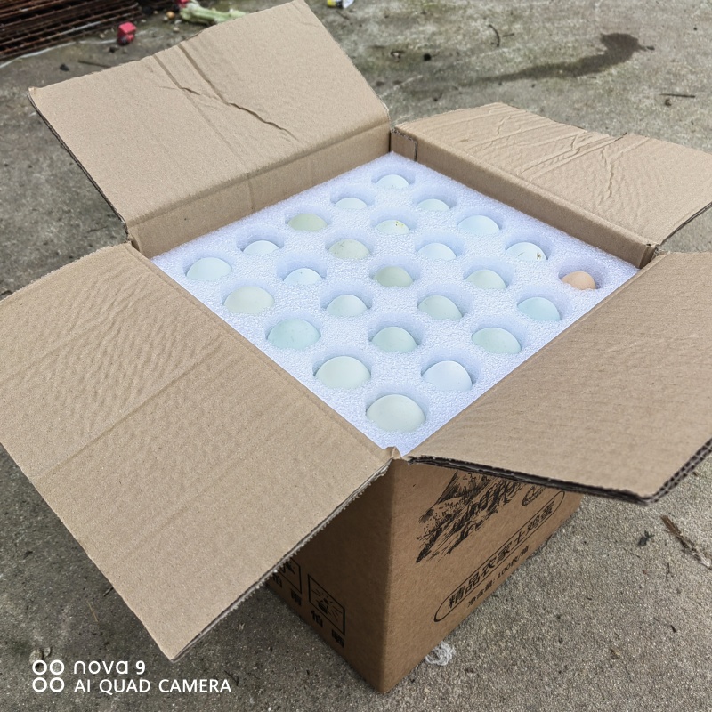 散养土鸡蛋