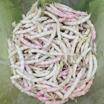 齐齐哈尔黄金沟