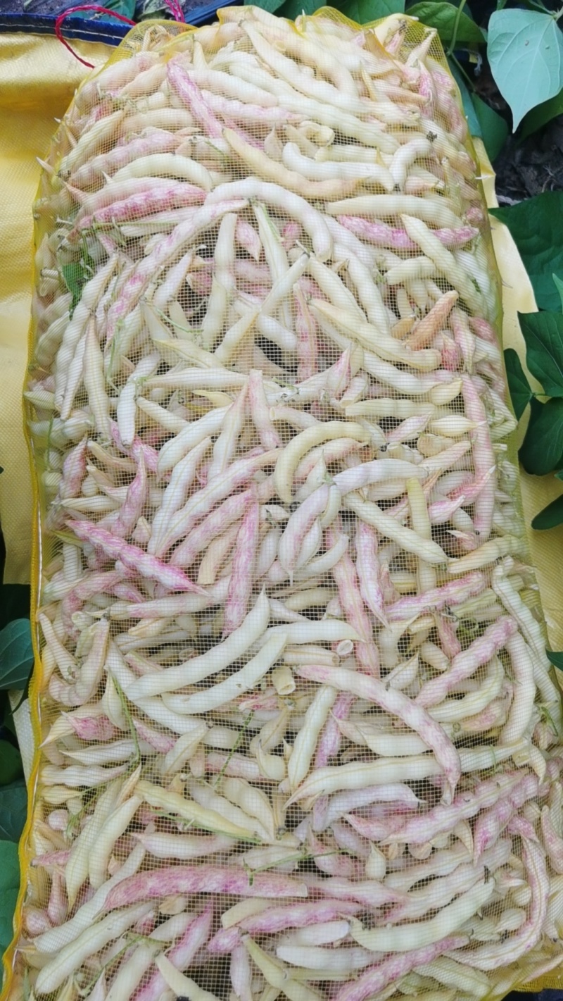 齐齐哈尔黄金沟