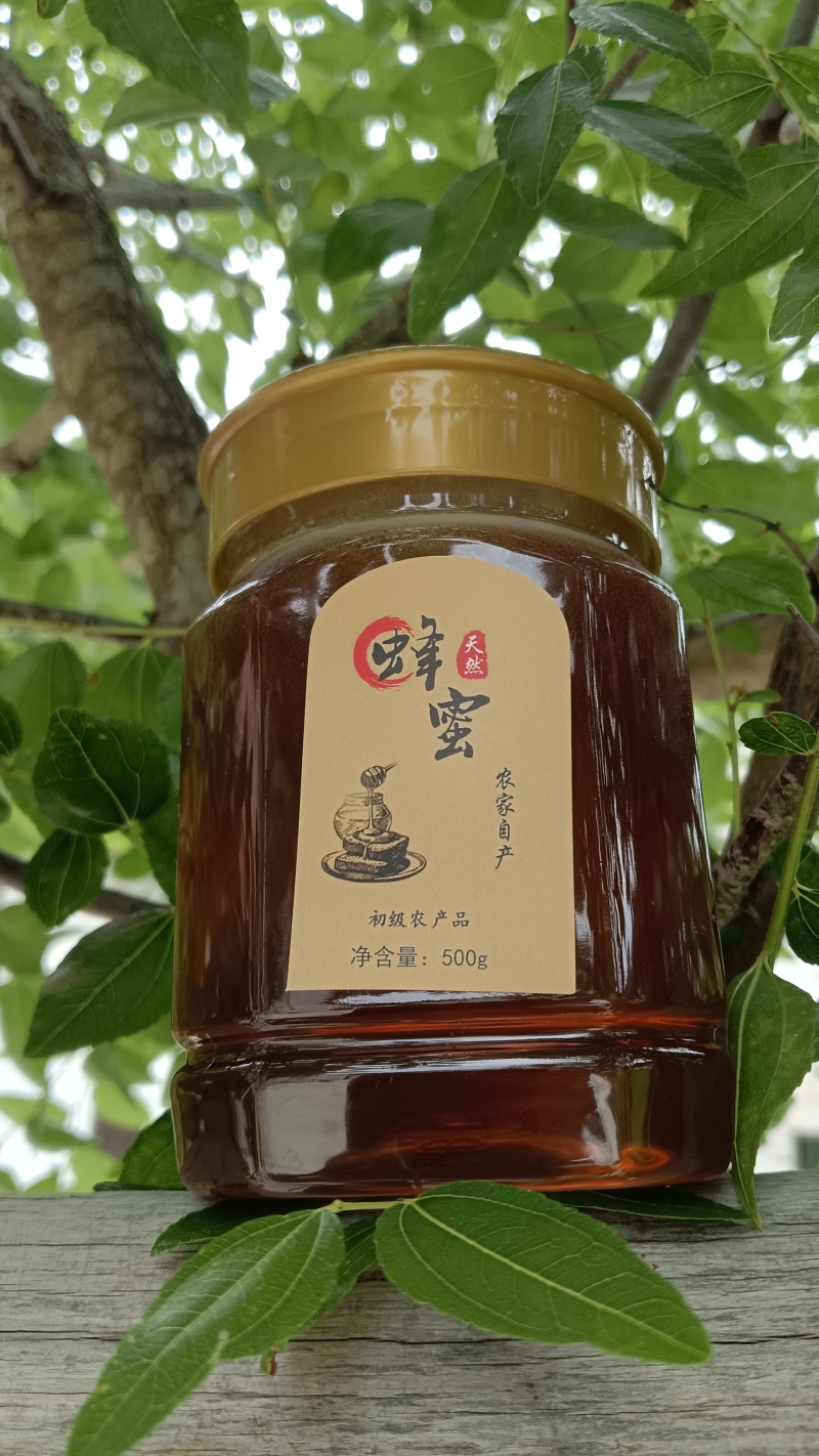 高山土蜂蜜