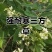 风摆柳学名三方草