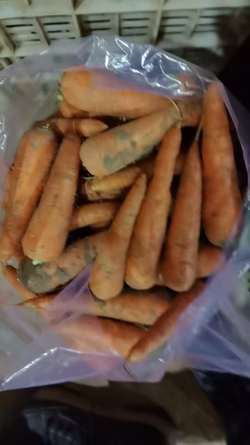 带泥水洗常年供货
