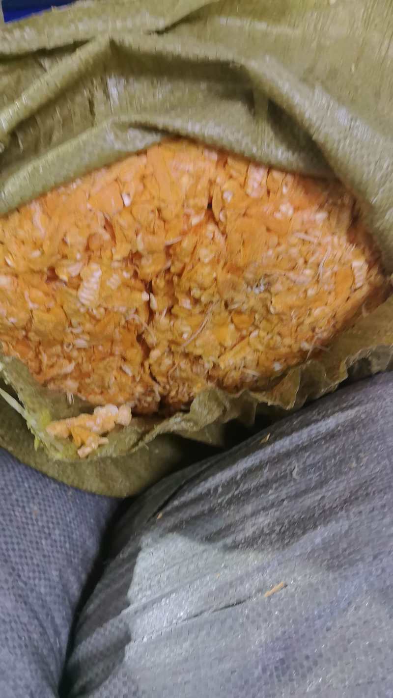 鸡掌皮