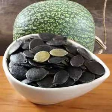 南瓜子一样香甜