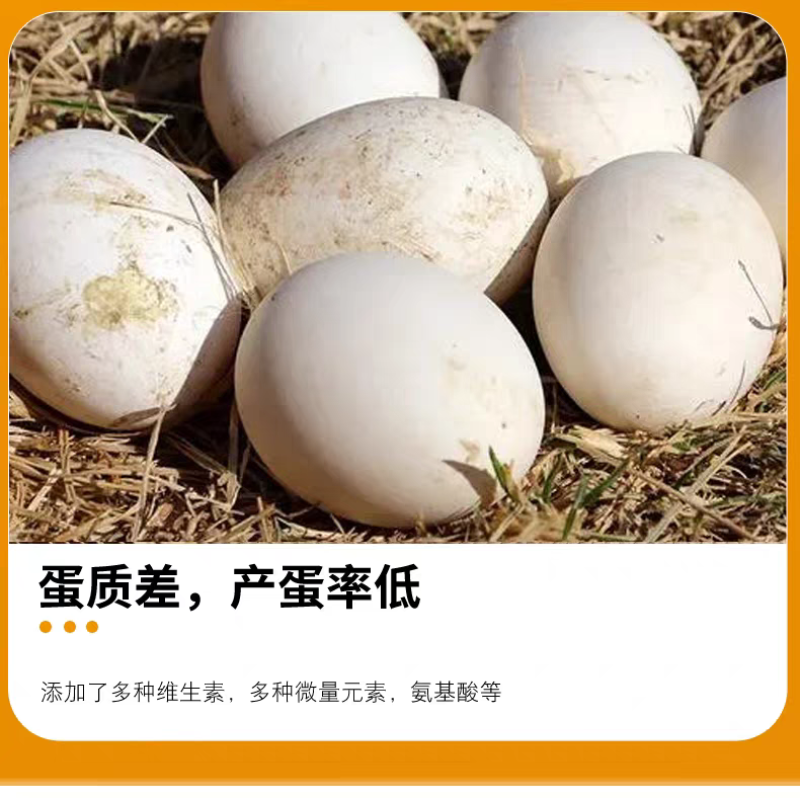 天福正大鹅肉鹅预混料育肥拉骨架产蛋狮头鹅幼鹅大三花鹅专用饲料