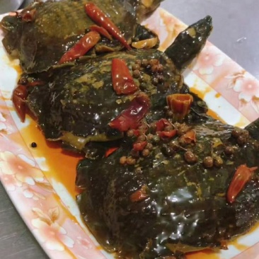 麻辣卤小甲鱼