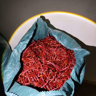 云南高山丘北干辣椒