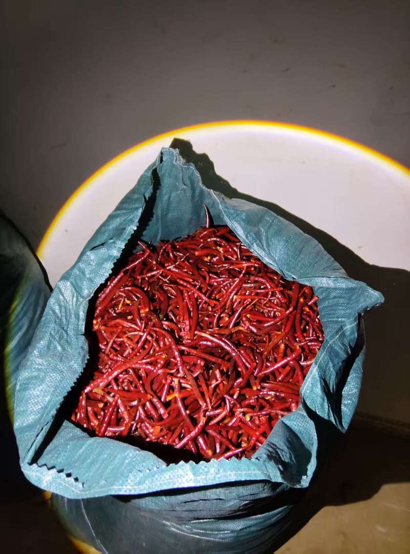 云南高山丘北干辣椒