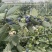 抚仙湖花香L25。15+