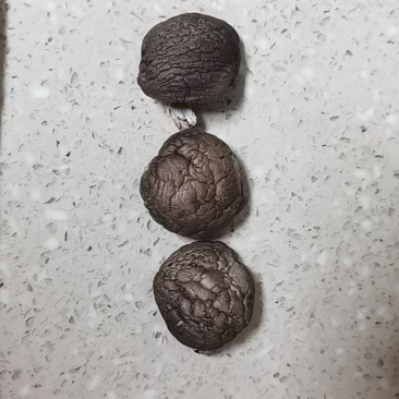 纯正香菇，干香菇等