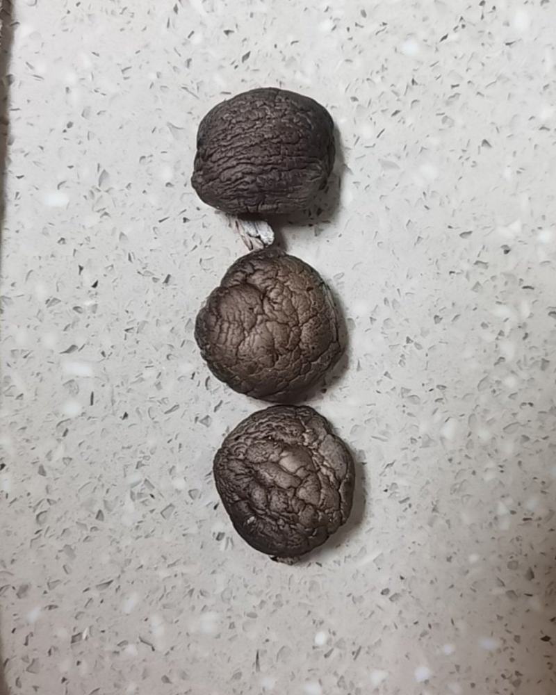 纯正香菇，干香菇等