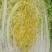 山东聊城实力蔬菜代办，主营白菜。西红柿，深耕本地产区10年，
