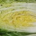 山东聊城实力蔬菜代办，主营白菜。西红柿，深耕本地产区10年，