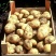 恩施小土豆土豆批发零售一件代发支持电商高山土豆