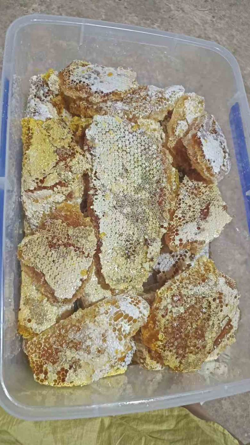 云南边境深山野生蜜