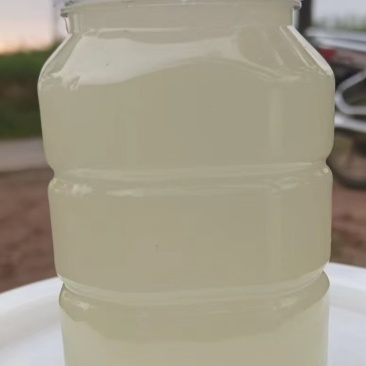 洋槐蜜