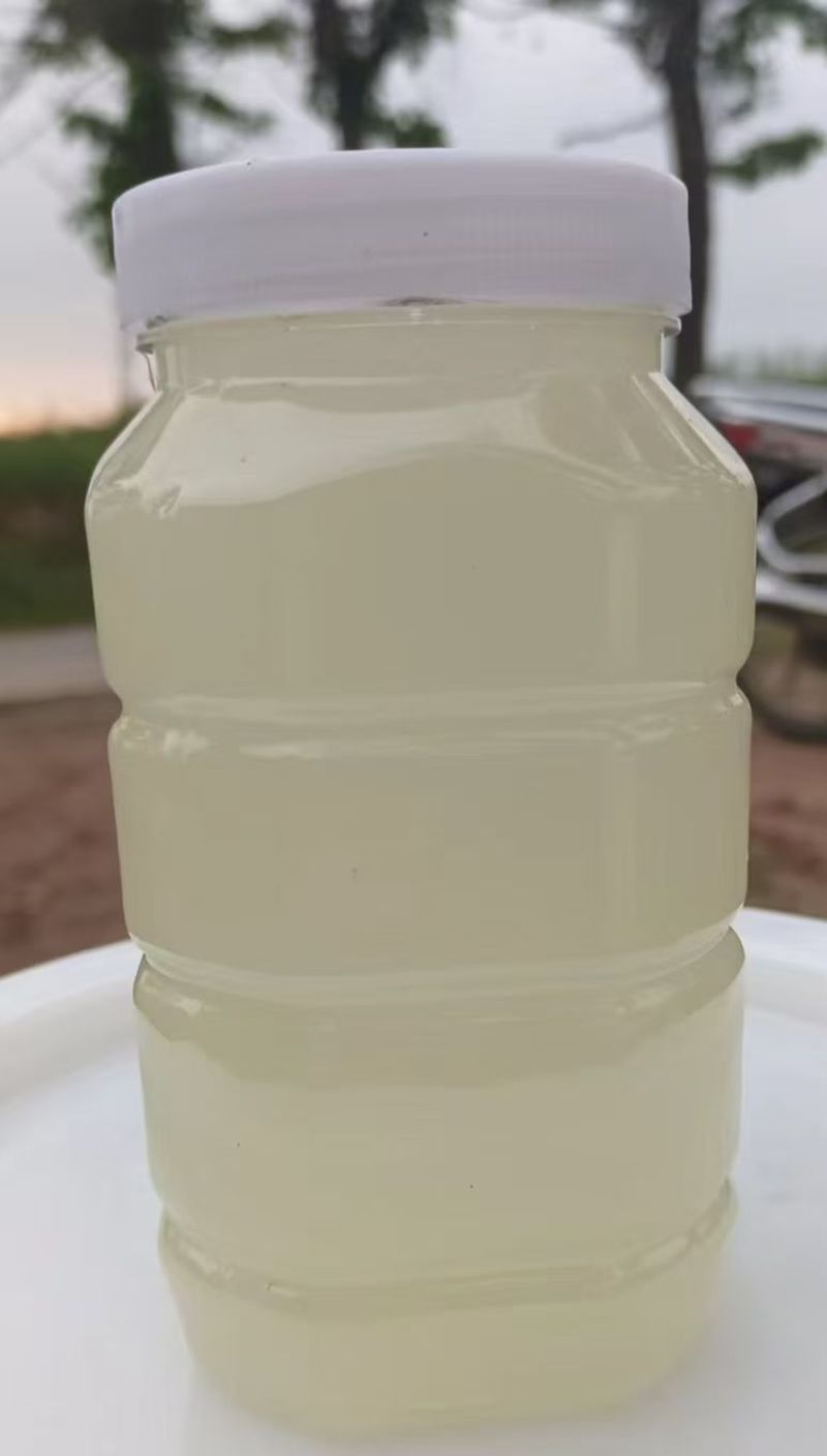 洋槐蜜