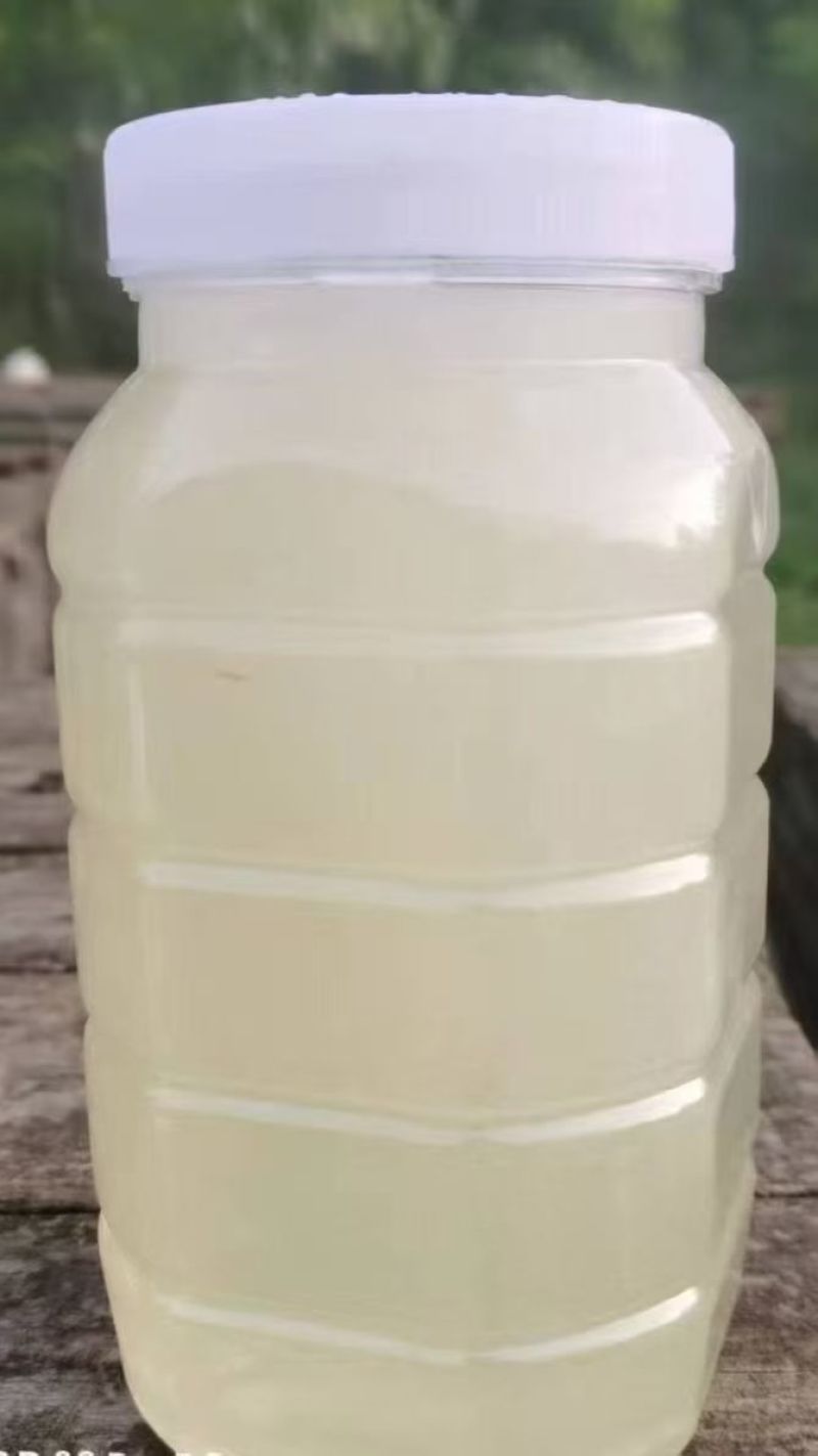 洋槐蜜