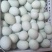 绿壳土鸡蛋