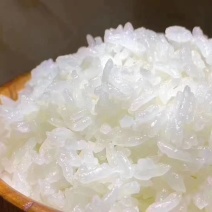 自家种植原粮稻花香二号。正宗五常大米。支持试吃品尝
