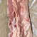 带骨外脊（T骨）