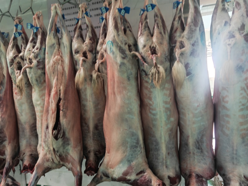 肉的品质保质保量，大家放心的采购。量大从优。