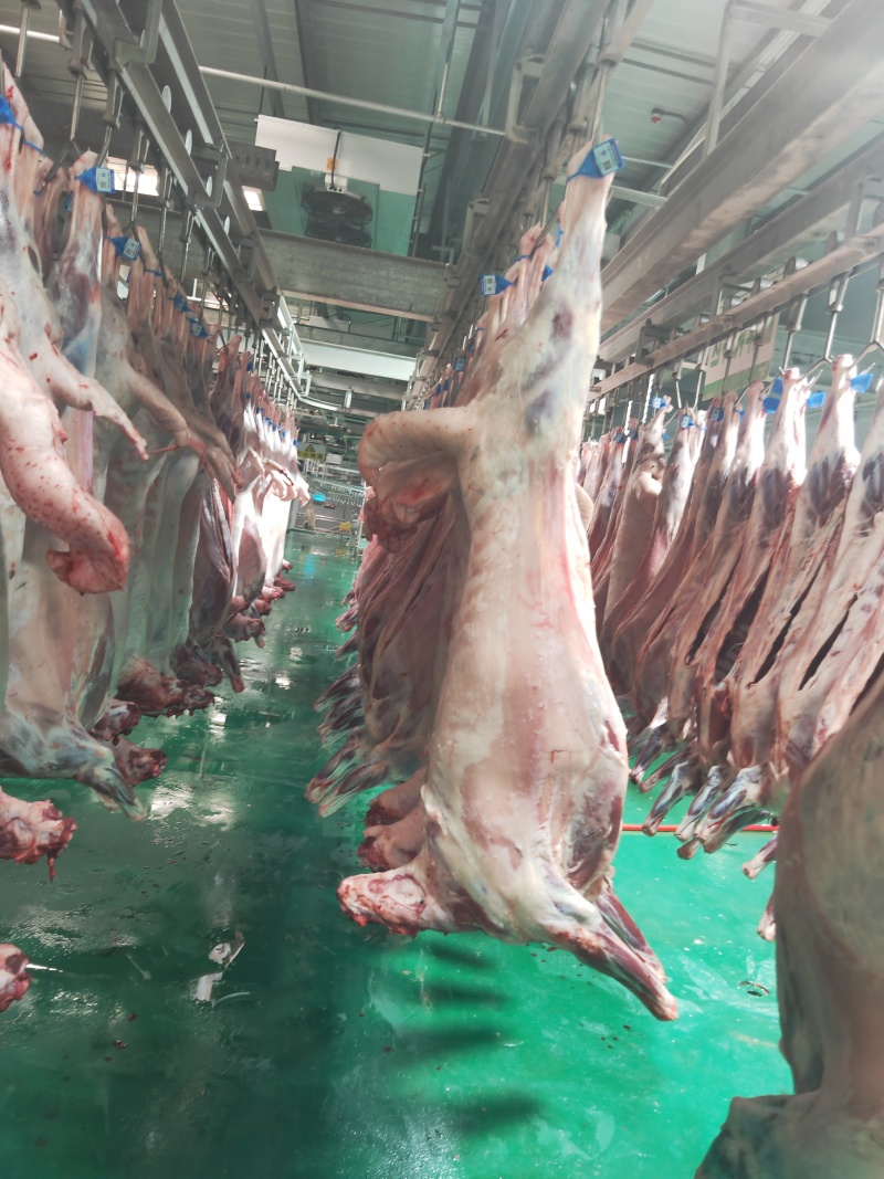 肉的品质保质保量，大家放心的采购。量大从优。