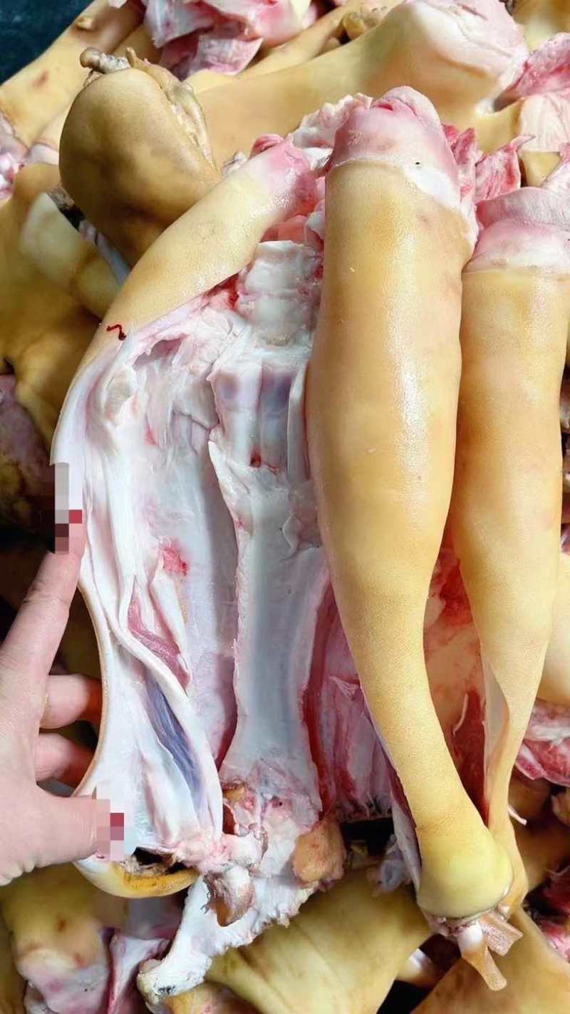 火烧毛全去骨牛蹄，去骨留筋整根全公牛蹄子