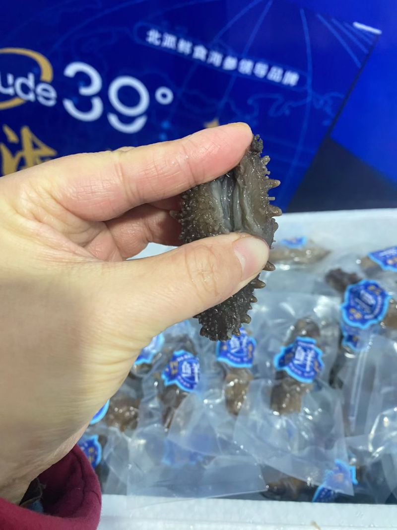 即食海参3.96一只