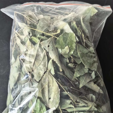 高含量柔毛淫羊藿
