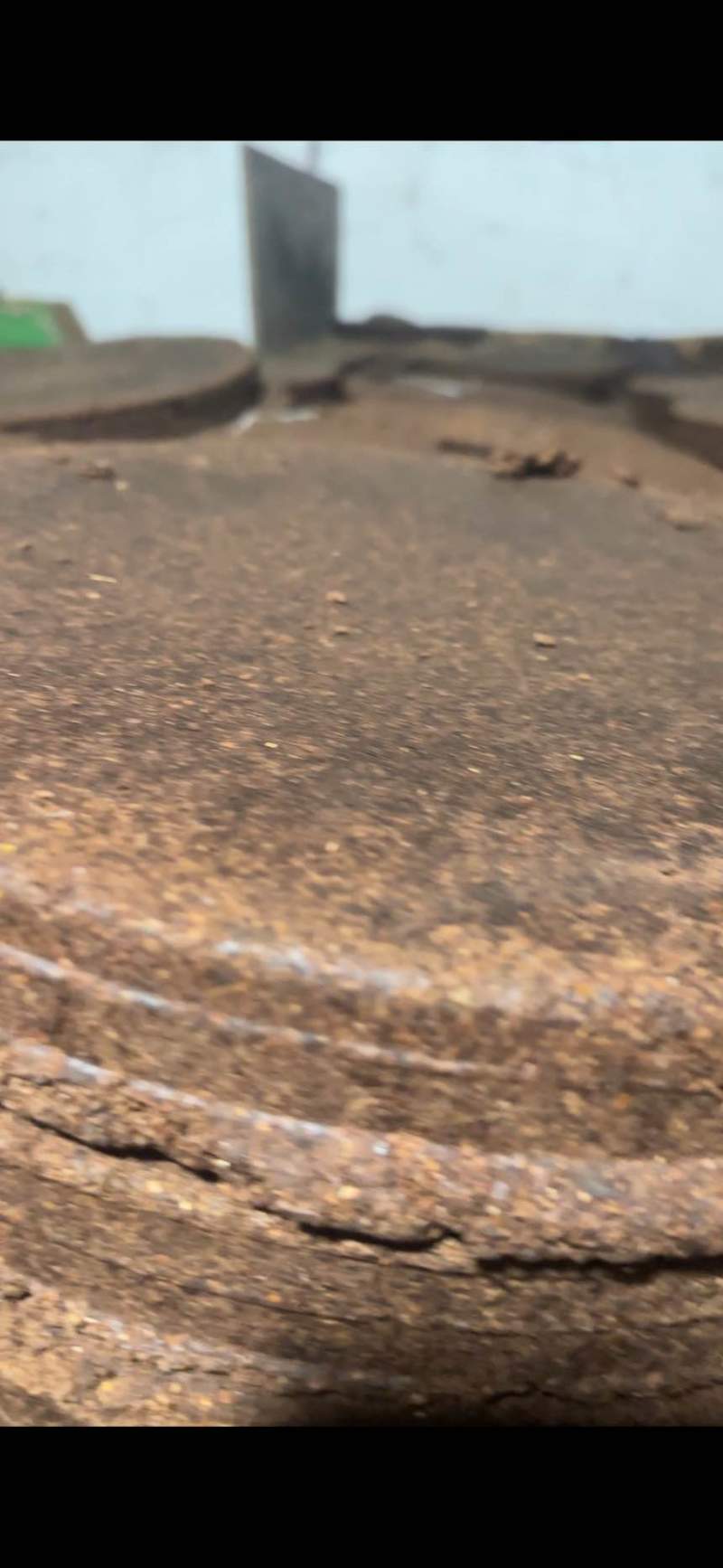 茶皂素高清塘肥田肥鱼